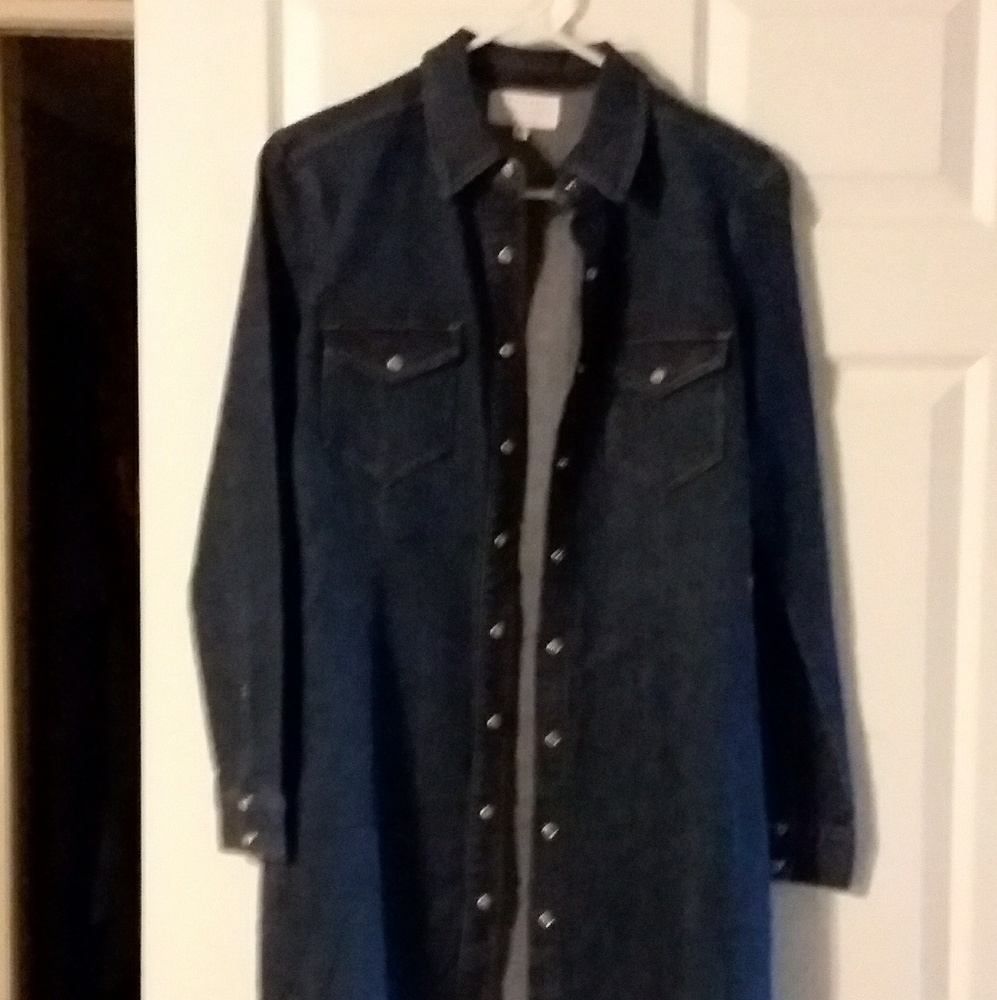 Denim snap up dress